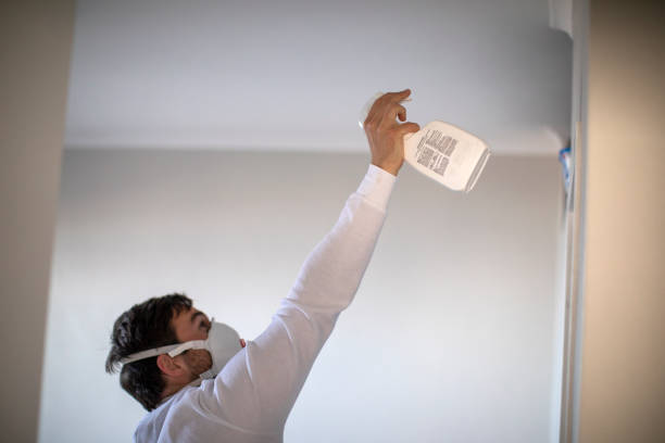 Trusted Franklin Park, FL Mold Remediation Experts